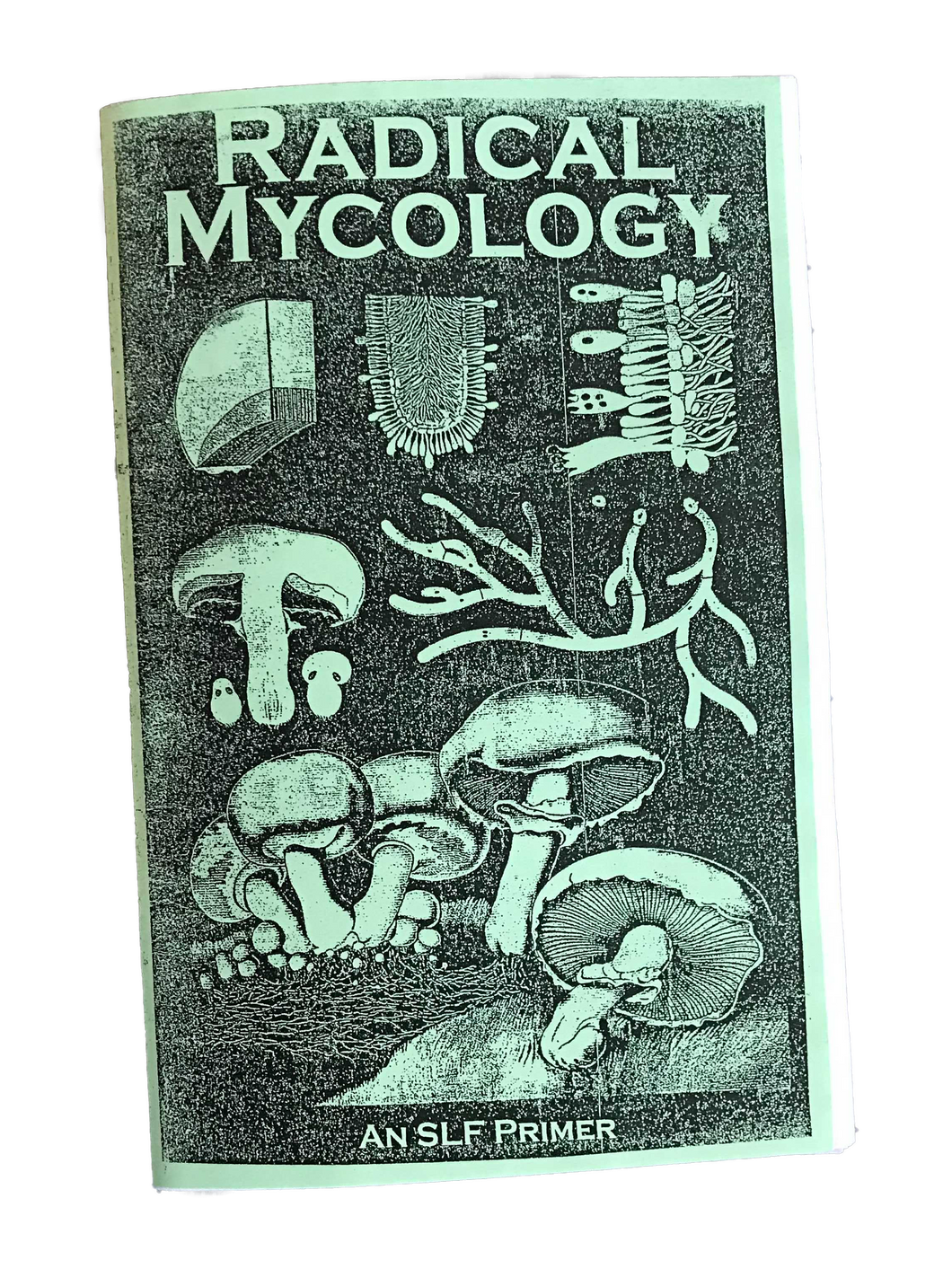 Radical Mycology